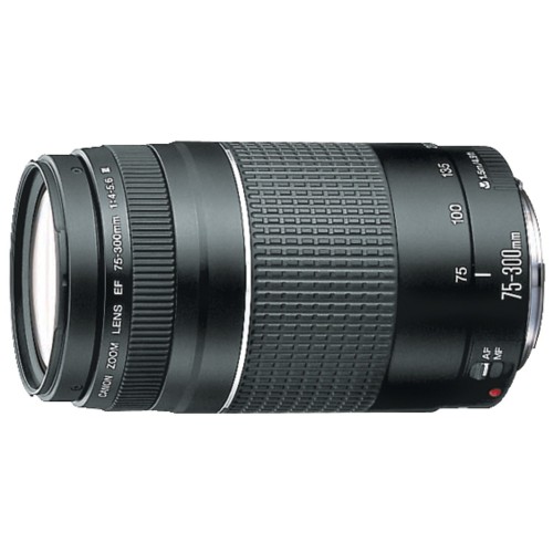 Canon EF 75-300mm f/4-5.6 III Price in Bangladesh | Star Tech