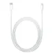 Apple USB-C to Lightning Cable 1M (A2561)