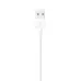 Apple Lightning To USB Cable 1m (MXLY2ZM/A)