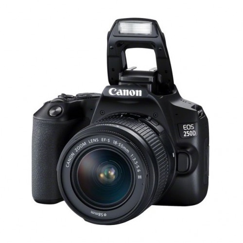 Canon 250d best sale price