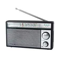 Panasonic RF-562DD2 Portable FM/MW/SW 3-Band Reception and Radio