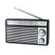 Panasonic RF-562DD2 Portable FM/MW/SW 3-Band Reception and Radio