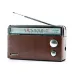 Panasonic RF-562DD,RF-562DD2 FM/MW/SW Radio with case
