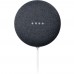 Google H2C Nest Mini 2nd Generation Voice Assistant 