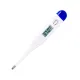 Digital Thermometer For Measuring Fever
