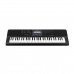 CASIO CT-X870IN 61-key Portable Musical Keyboard with AC Adaptor