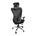 Horizon Ergon Heart Ergonomic Gaming Chair