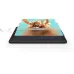XP-Pen Artist 13.3 Pro V2 Graphics Tablet