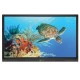 Boxlight ProColor 554U 55” 4K Interactive Flat Panel Display