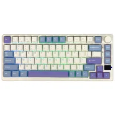 Royal Kludge RK M75 RGB Tri-Mode Hot-Swappable Silver Switch Mechanical Keyboard