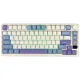 Royal Kludge RK M75 RGB Tri-Mode Hot-Swappable Silver Switch Mechanical Keyboard