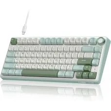 Royal Kludge RK R75 RGB Hot-Swappable Mechanical Keyboard
