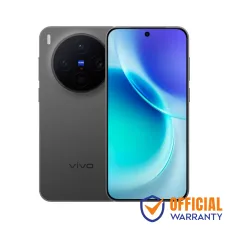 Vivo X300