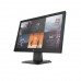 HP P19V G4 18.5" HD Monitor