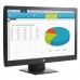 HP ProDisplay P203 20-inch HD+ Monitor