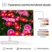 Front view of HP Series 5 527sa Monitor showing vibrant floral display and high contrast vs other monitors.
