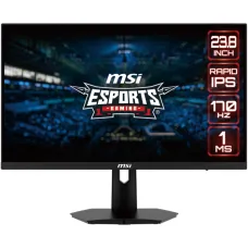 MSI G244F 23.8 inch FHD Rapid IPS 170Hz Gaming Monitor