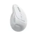 White Inphic vertical ergonomic mouse with scroll wheel, extra button, and brand logo on the side