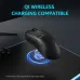 Rapoo VT3PRO MAX Mouse