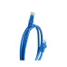 Close-up view of COTE CPC-2106-5M 5M Cat-6 UTP Patch Cord showing blue Ethernet cable with RJ45 connectors on both ends