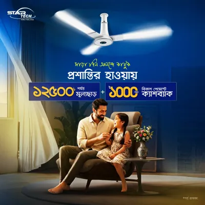 Ceiling Fan Deal