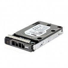 Dell 1TB 7.2K RPM Near-Line SAS 512n 3.5" Hot Plug Hard Drive, CusKit