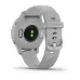 Garmin Venu 2S AMOLED Display Waterproof Fitness Smartwatch