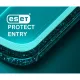 ESET Protect Entry E-License Subscription
