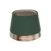Front view of HiFuture Mega S Portable Bluetooth Speaker in dark green with metallic base