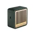 Angled front view of HiFuture Passion S Portable Bluetooth Speaker in dark green finish