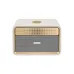 Front view of HiFuture Passion X Portable Bluetooth Speaker with gold accents and fabric grille