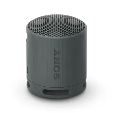 Sony SRS-XB100 Wireless Bluetooth Speaker