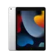 Apple iPad 10.2-Inch 9th Gen 64GB Wi-Fi Silver (MK2L3LL/A)