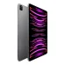 Apple iPad Pro M2 Chip 12.9-inch Retina XDR Display Wi-Fi + Cellular 2TB Space Gray Late 2022 (MP663LL/A)