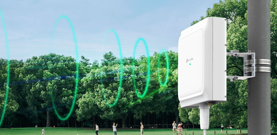 TP-Link EAP650 D120-Outdoor Access Point